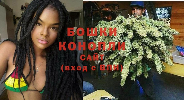 ГАЛЛЮЦИНОГЕННЫЕ ГРИБЫ Шарыпово