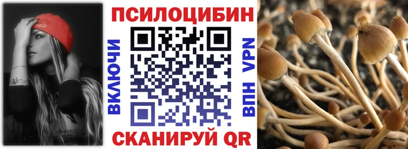 где найти Чернушка площадка формула Псилоцибиновые грибы ЛСД