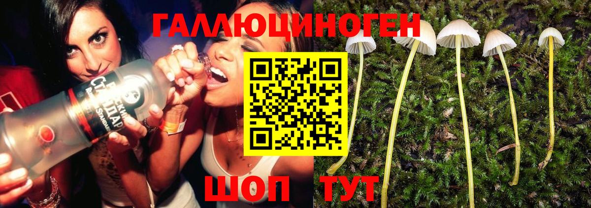 Чернушка  Галлюциногенные грибы мухоморы  Вход с VPN  Галлюциногенные грибы ЛСД 